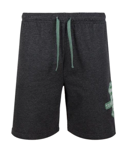 Warner Bros Best Sellers Slytherin Quidditch Team Captain Shorts