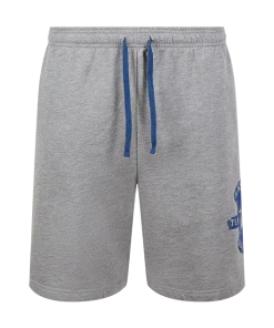 Warner Bros Best Sellers Ravenclaw Quidditch Team Captain Shorts
