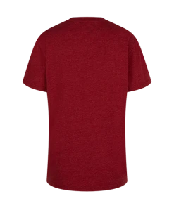 Warner Bros Best Sellers Kids Gryffindor Quidditch Team Captain T-Shirt