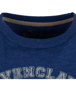 Warner Bros Best Sellers Kids Ravenclaw Quidditch Team Captain T-Shirt