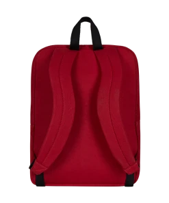 Warner Bros Gryffindor Lined Backpack Best Sellers