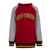 Warner Bros Kids Gryffindor Sweatshirt Best Sellers