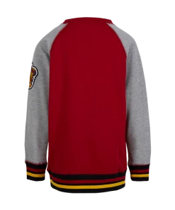 Warner Bros Kids Gryffindor Sweatshirt Best Sellers 9 Warner Bros Kids Gryffindor Sweatshirt Best Sellers