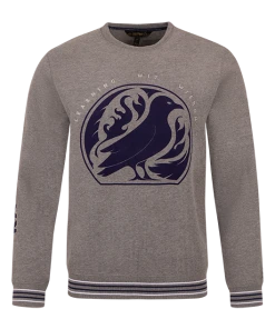 Warner Bros Ravenclaw Logo Sweatshirt