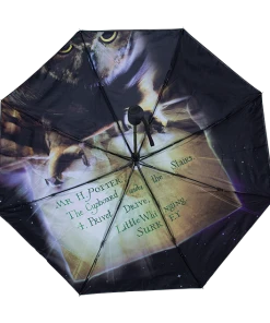 Warner Bros Philosopher's Stone Umbrella