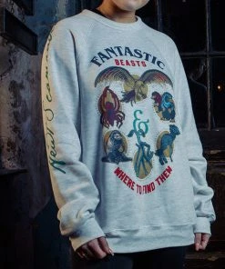 Warner Bros The Secrets Of Dumbledore Sweatshirt