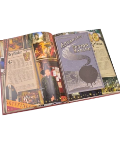 Warner Bros Harry Potter Film Wizardry Book Best Sellers