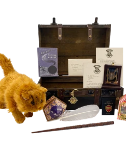 Warner Bros Hermione Granger Gift Trunk