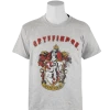 Warner Bros Best Sellers Kids Gryffindor Distressed T-Shirt