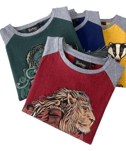 Warner Bros Best Sellers Ravenclaw Kids T-Shirt