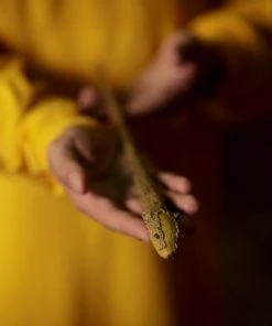 Warner Bros The Hufflepuff Mascot Wand Best Sellers