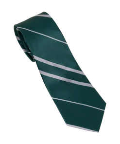 Warner Bros Slytherin House Tie
