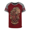 Warner Bros Gryffindor Kids T-Shirt