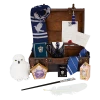 Warner Bros Ravenclaw Gift Trunk