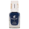 Warner Bros Ravenclaw Nail Varnish