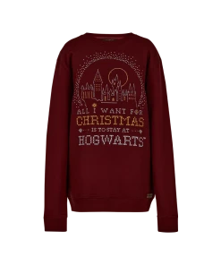 Warner Bros Best Sellers Hogwarts Christmas Sweatshirt