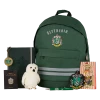Warner Bros Best Sellers Slytherin Essentials Backpack Set