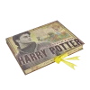 Warner Bros Best Sellers Harry Potter Artefact Box 2 Warner Bros Best Sellers Harry Potter Artefact Box