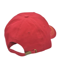 Warner Bros Gryffindor Team Captain Cap