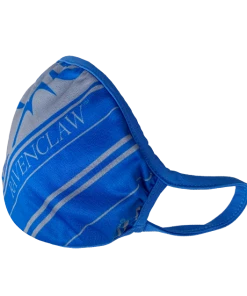 Warner Bros Ravenclaw Face Covering