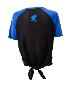 Warner Bros Best Sellers Ravenclaw Athletic Tie Back Tee